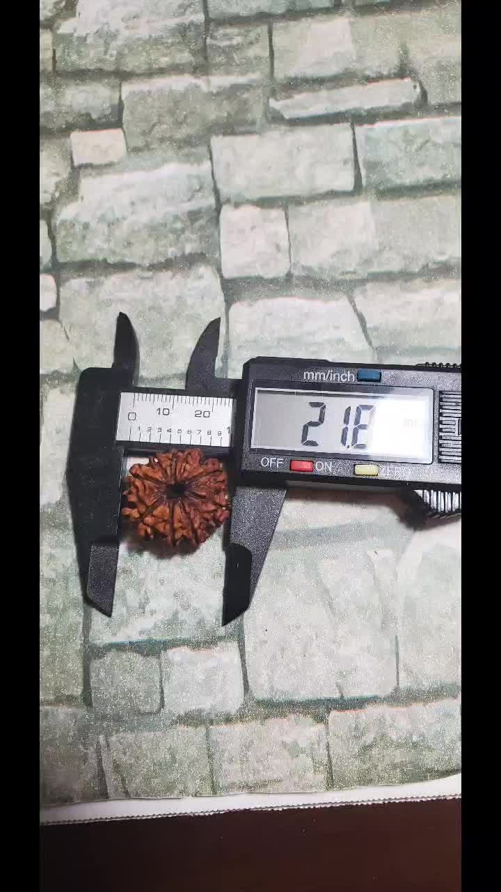 @nepal rudraksha