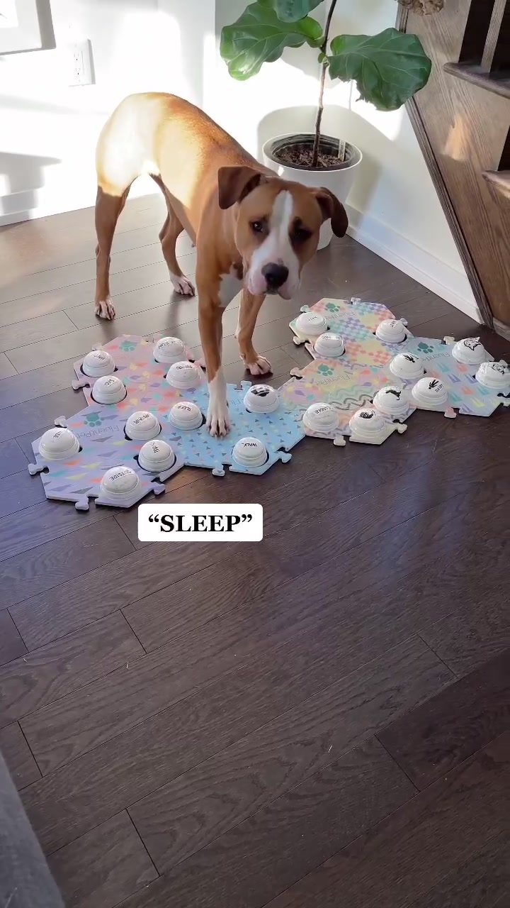 @Luna The Pittie