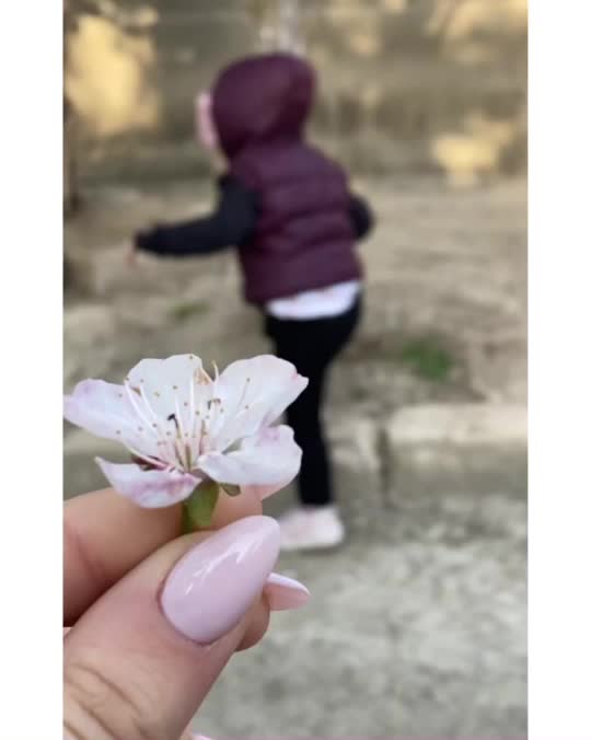 @Ferehİlham