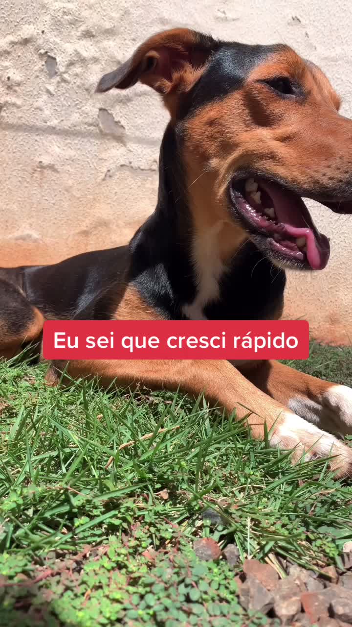 @Bernardo berg