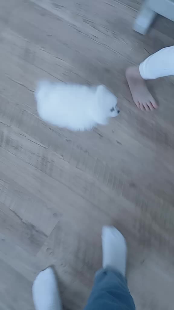 @&hearts;가을이네&hearts;