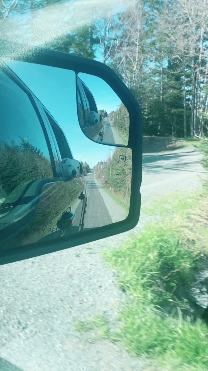 @baygiaussie
