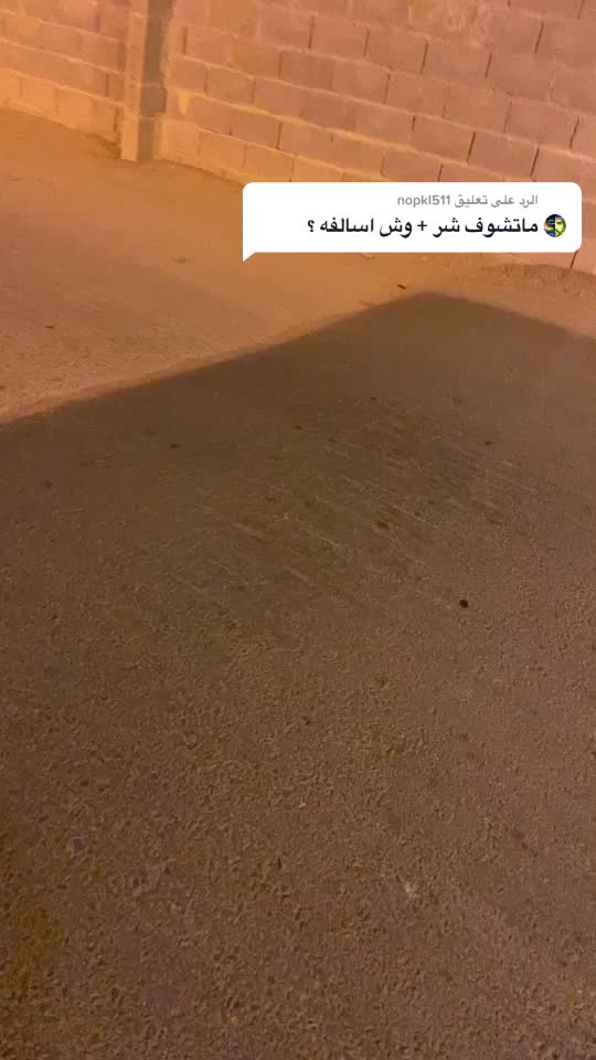 @سلطان ال عمار🎠