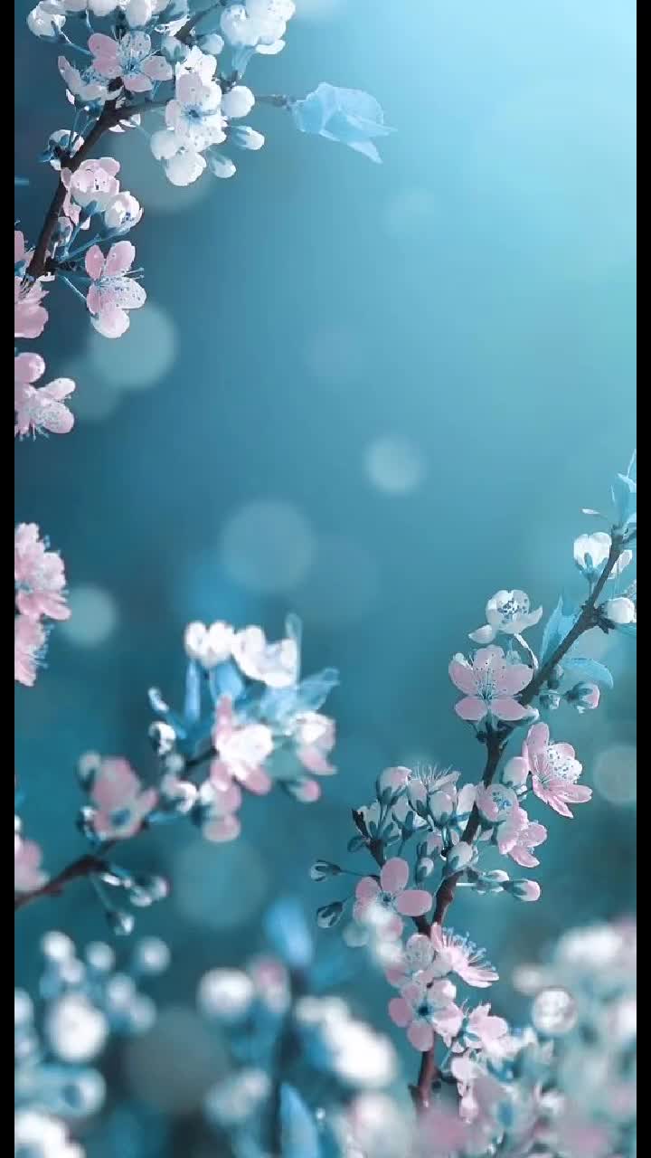 @Priyamanaval Mala🕊️
