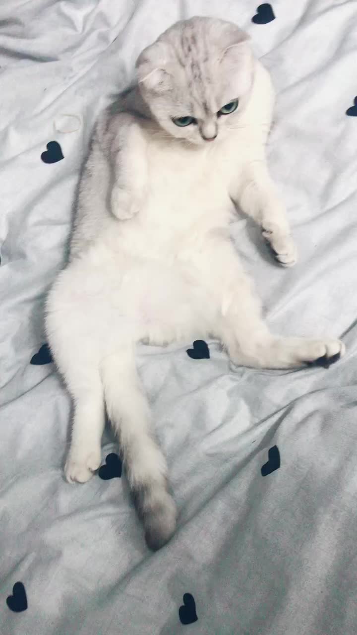 @tom_and_jessy_2