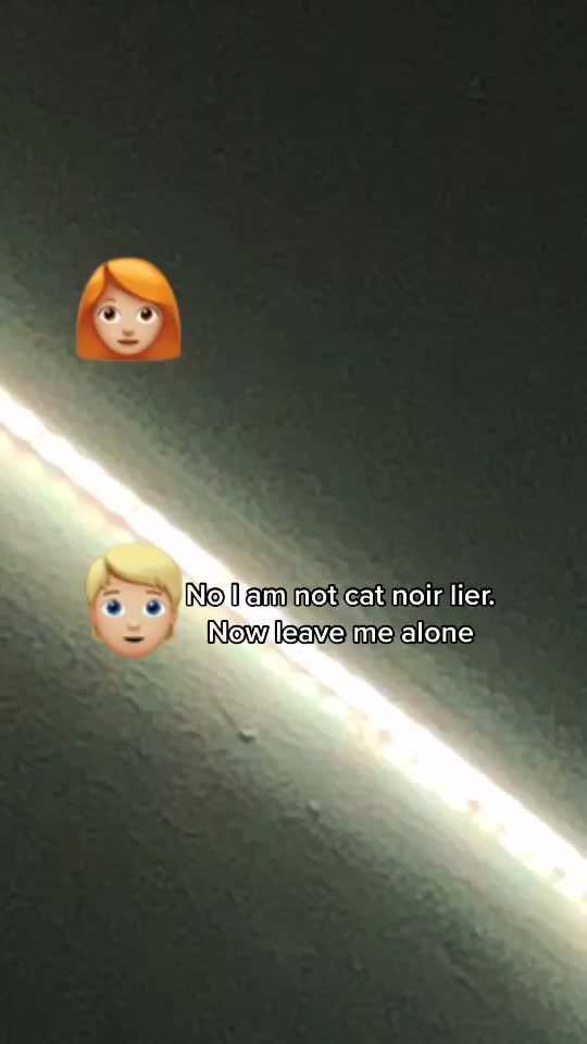 @Miraculous Ladybug 🐞