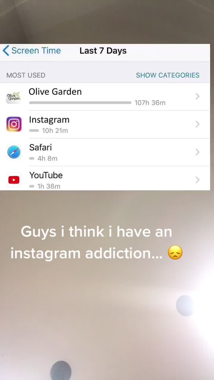 @paladinise