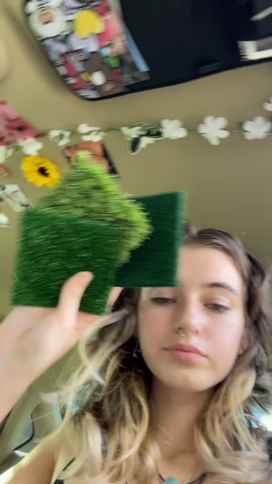 @Maria🦖