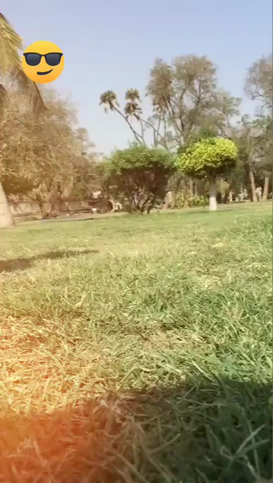 @user26487850963