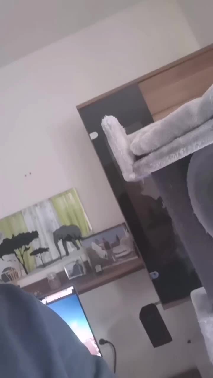 @sciro666