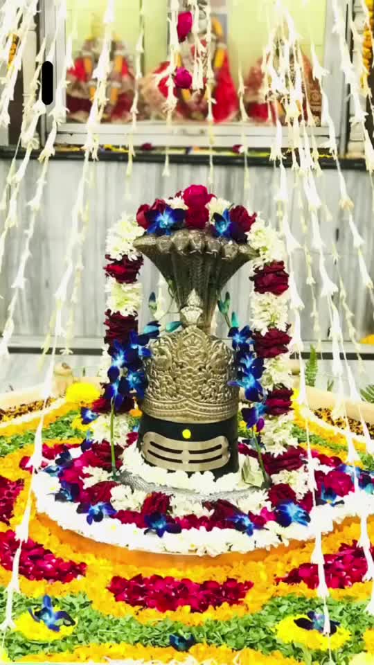 @nirmalmehla5410