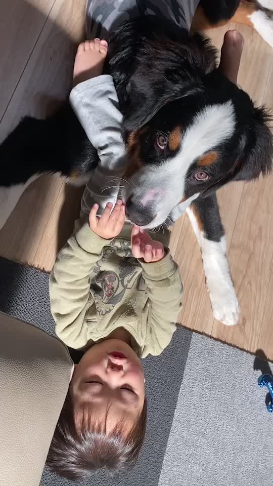@S,T,K