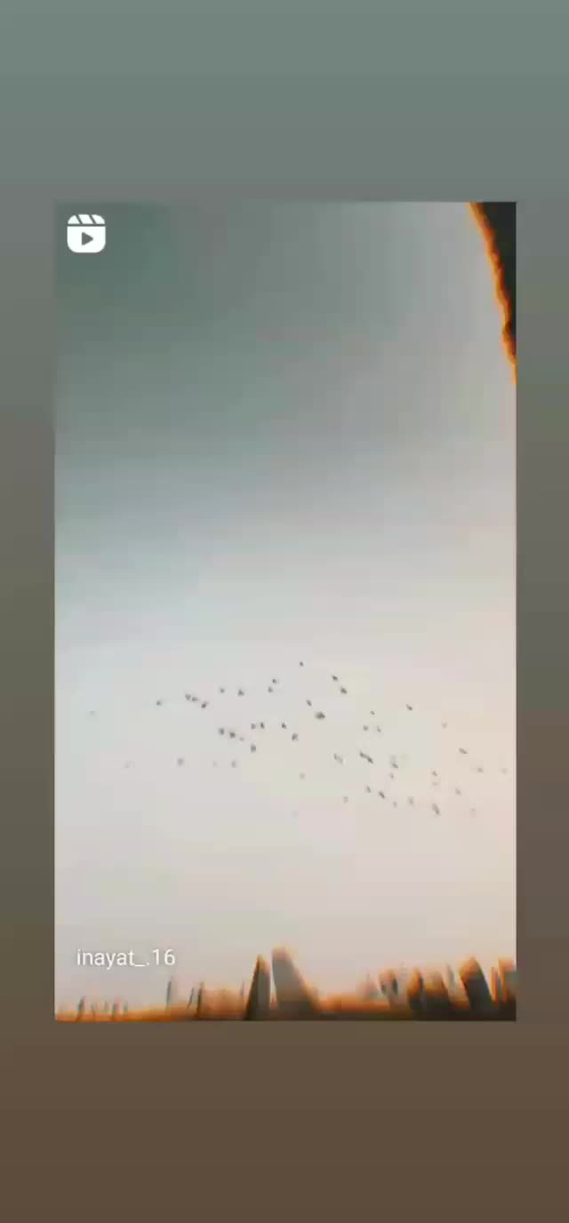 @786