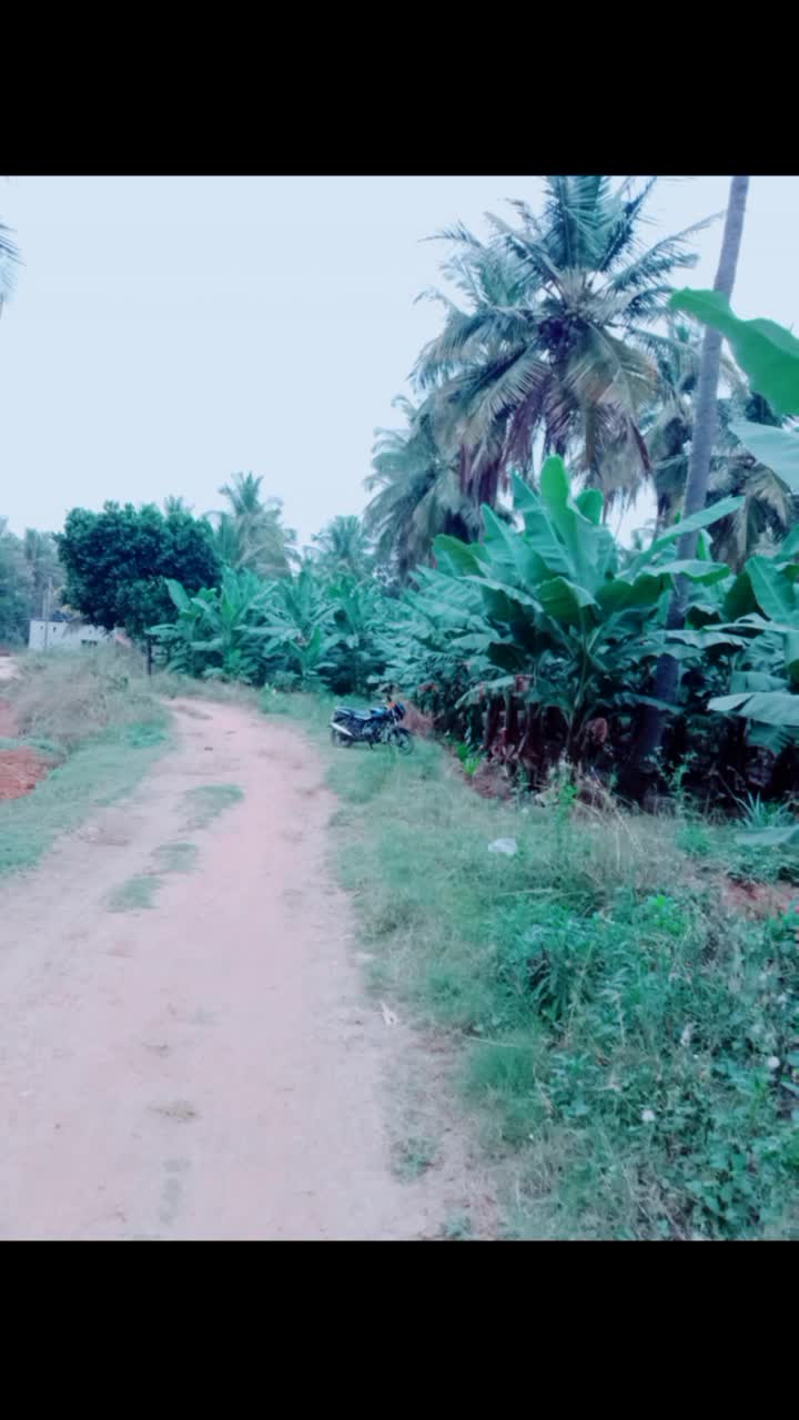 @user8814789759653