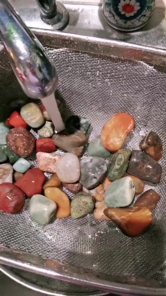 @findingferns