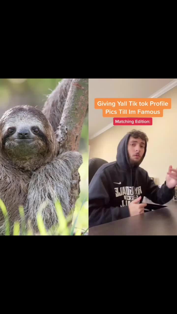@I exist only as sloth.