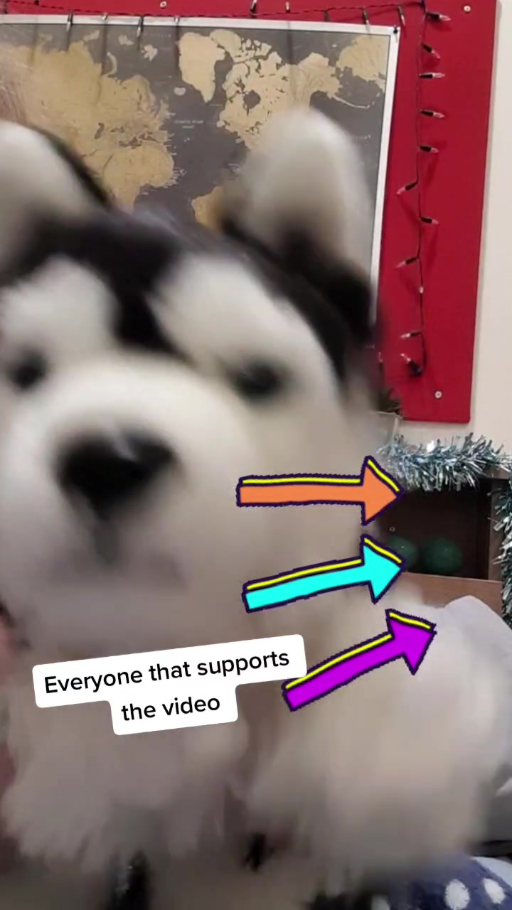 @Wolfy Ted