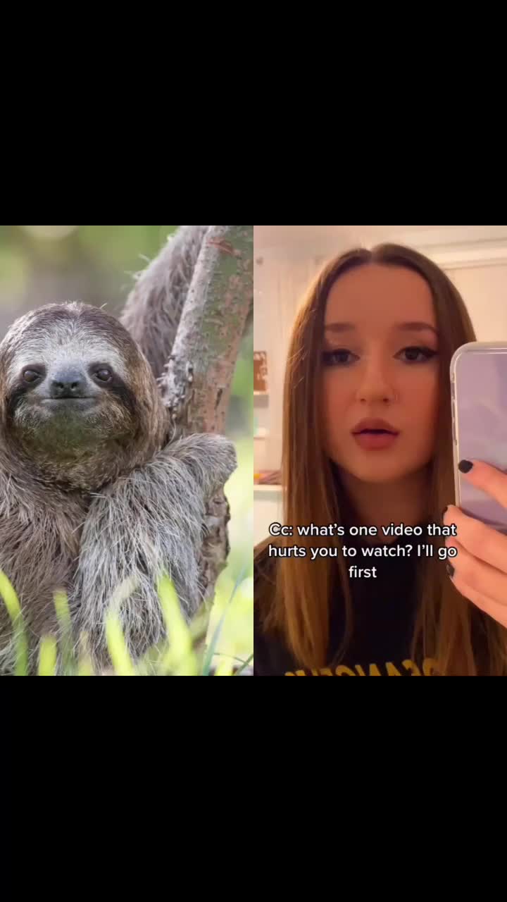 @I exist only as sloth.
