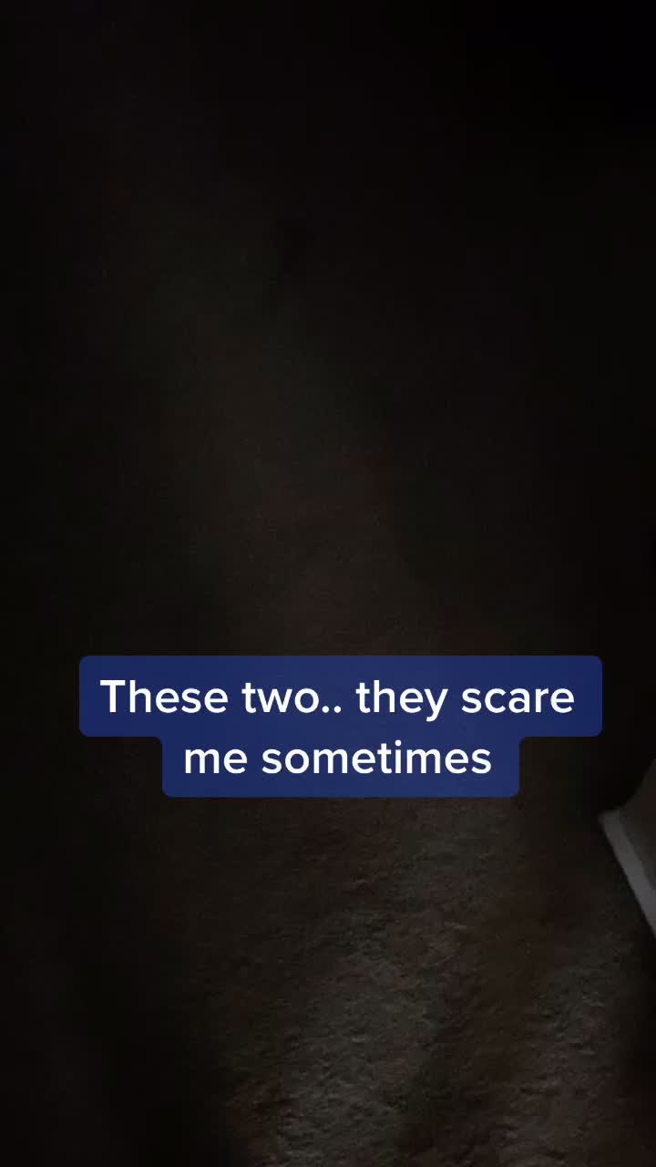@Sam I Am