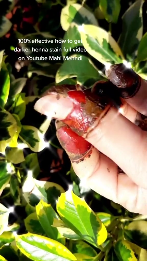 @Mahi Siddiqui