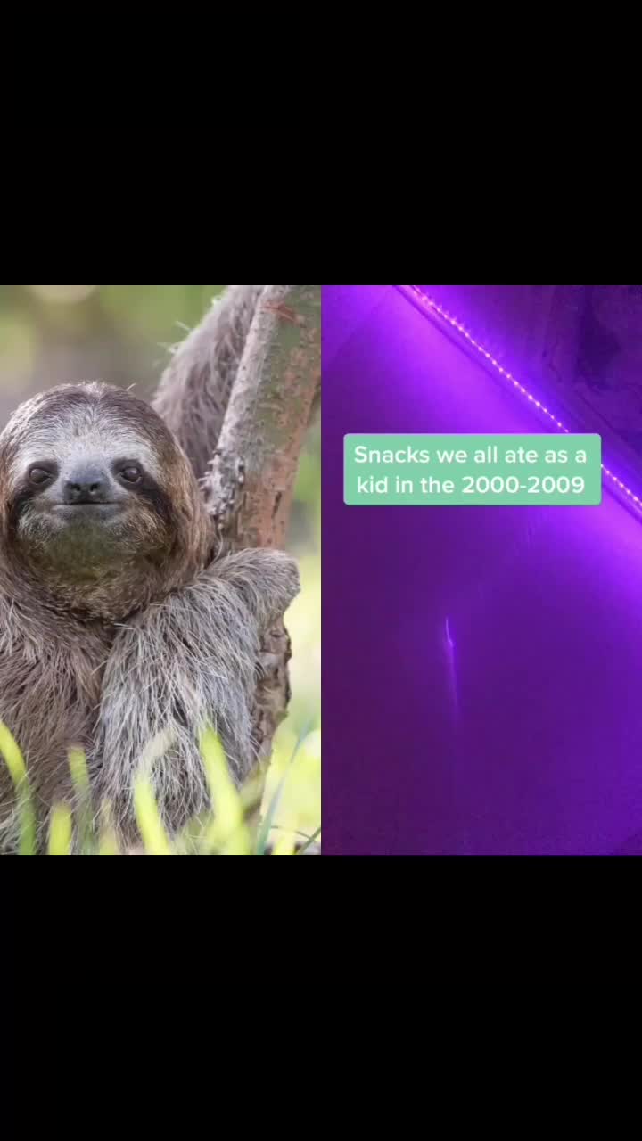 @I exist only as sloth.