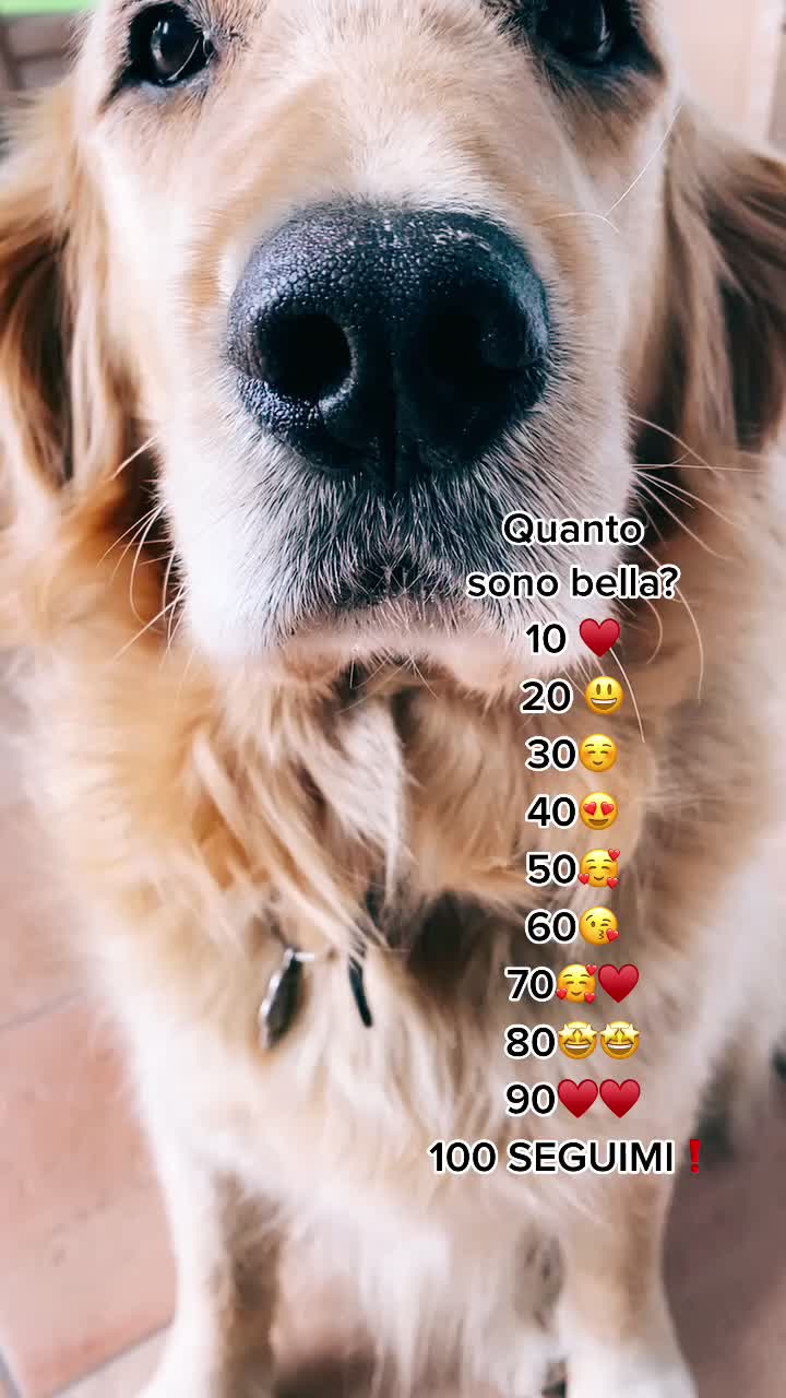 @🐶PENNY🐶