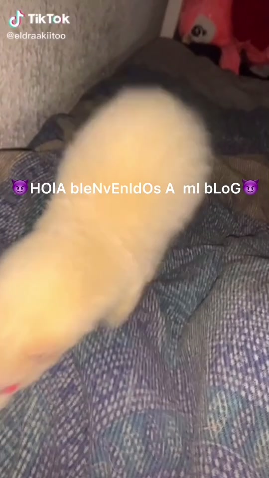 @videos_para_todos_7