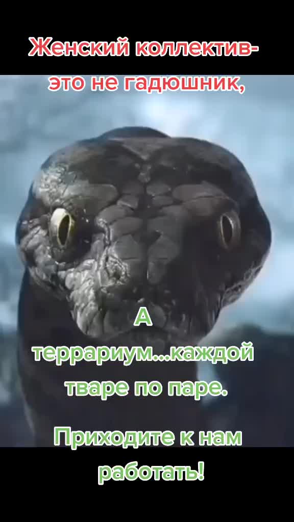 @рыжая бестия