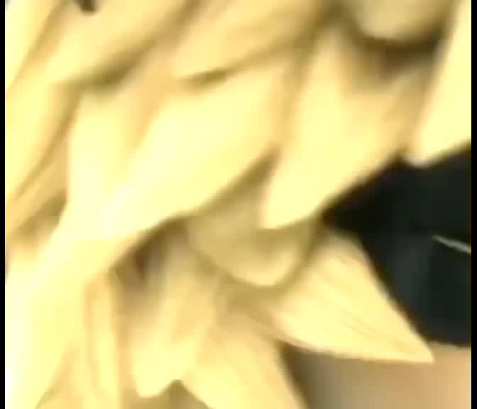 @miracly.edit