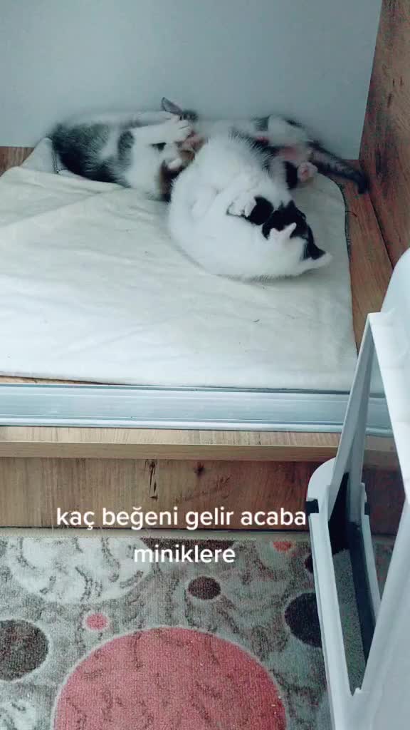@elbet bir g&uuml;n 🌌