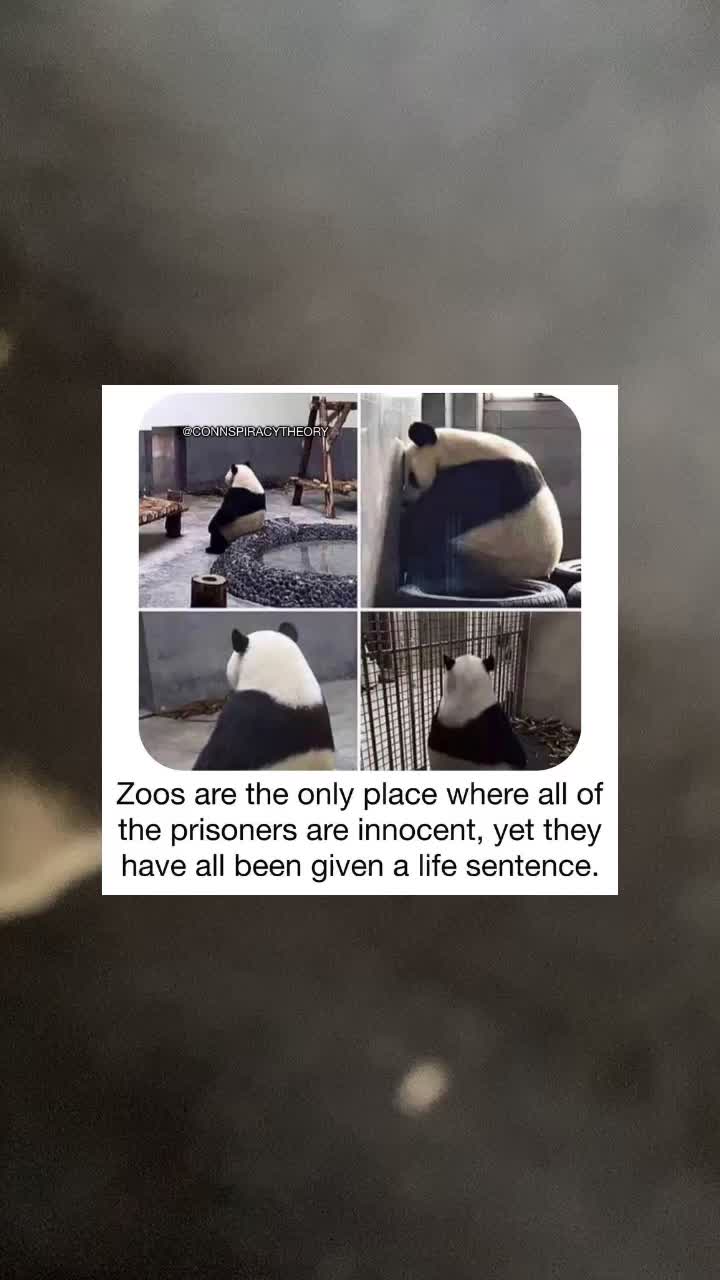 @conspiracysociety