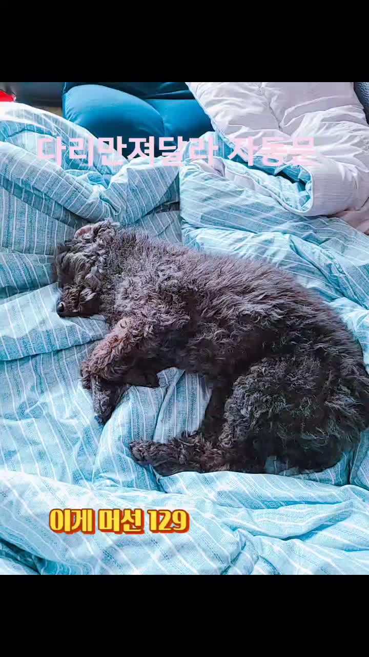 @dyrvt9cpeyo5