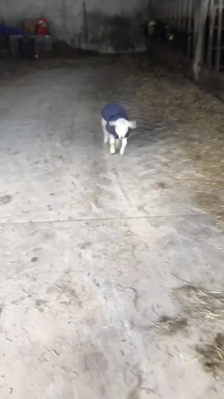 @FARMvisor