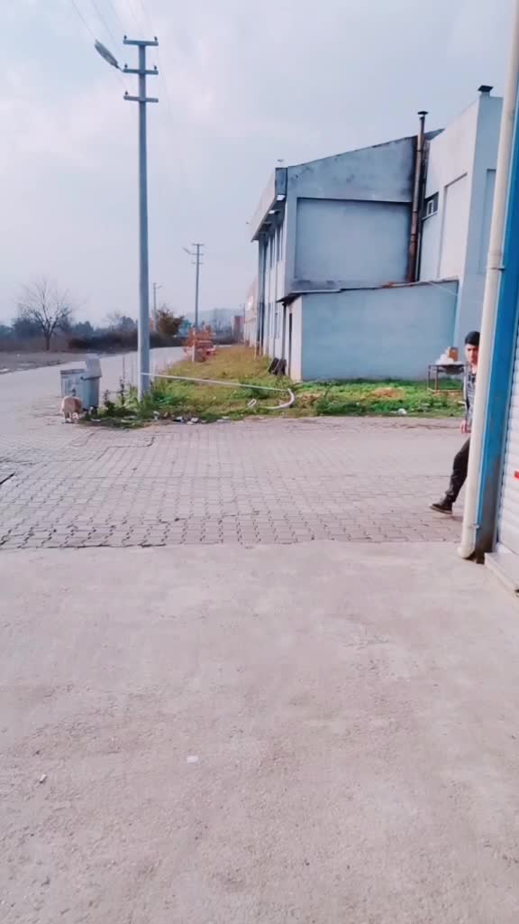@Fatih Esim