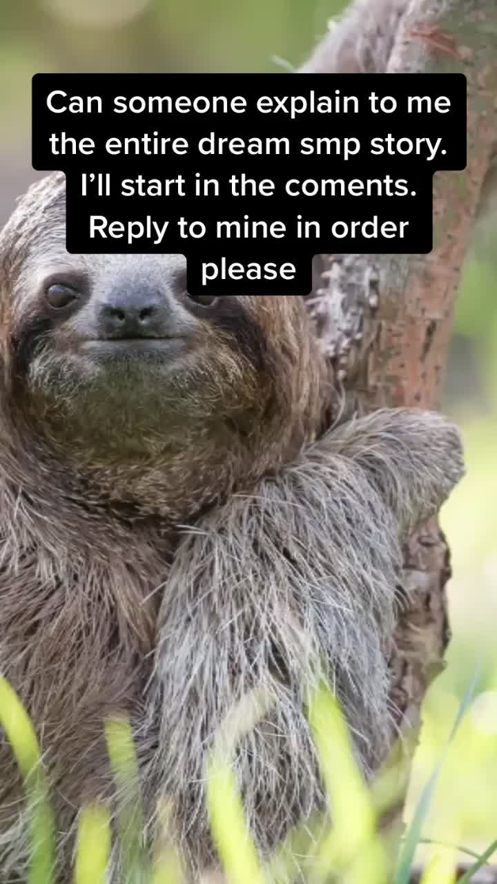 @I exist only as sloth.
