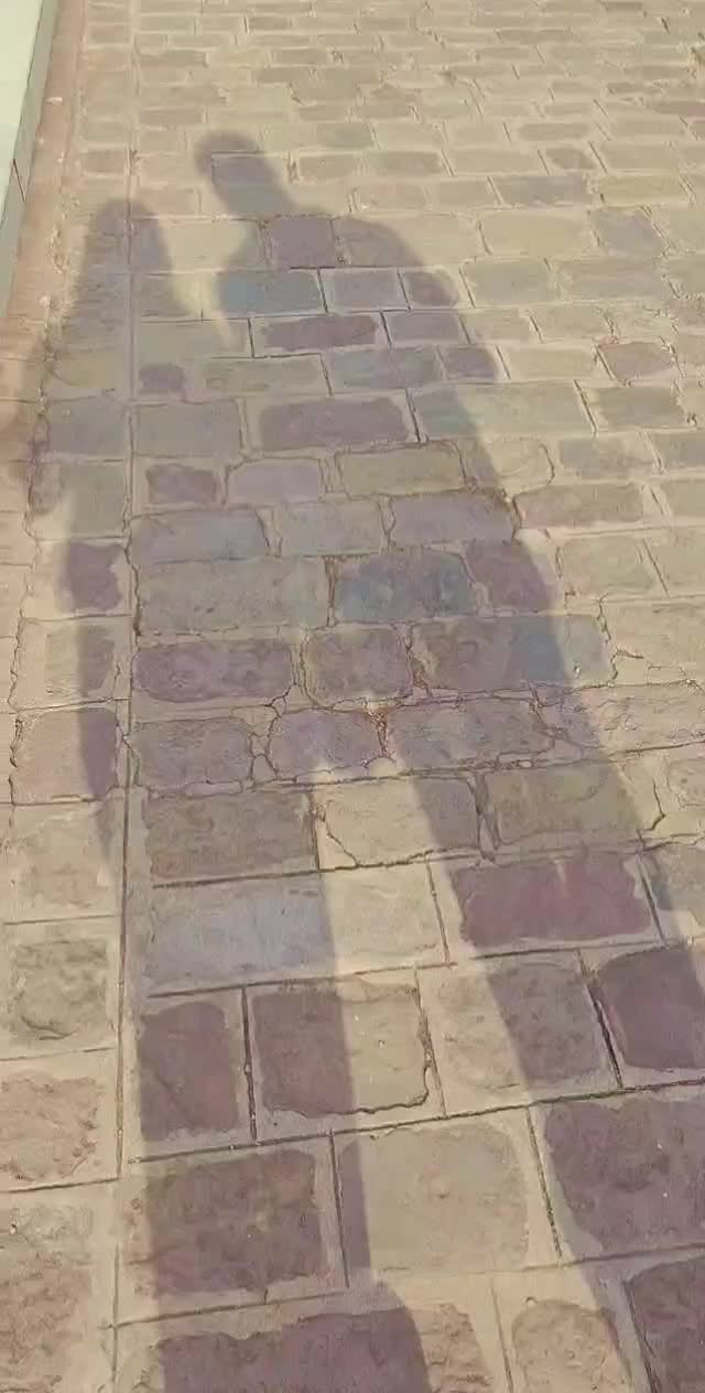 @user7340498606855