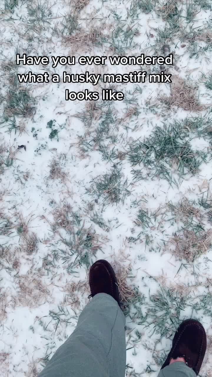 @ATCapa34