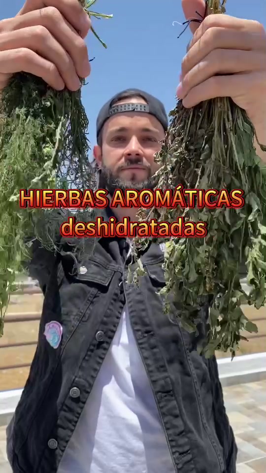 @Chefschwarz