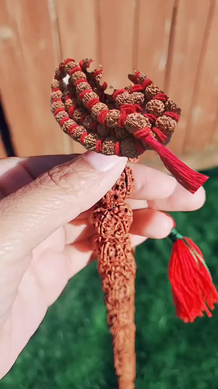 @nepal rudraksha