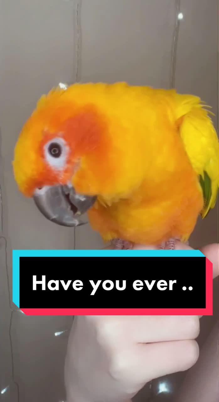 @Jessica Wings