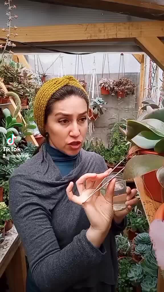 @Sucucrochet Artextil 🌵🧶