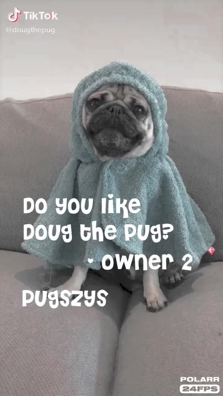 @Pugszys