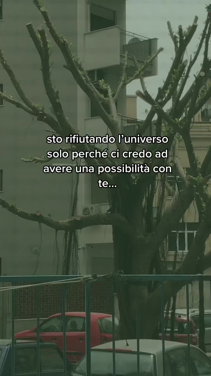 @user17282979228