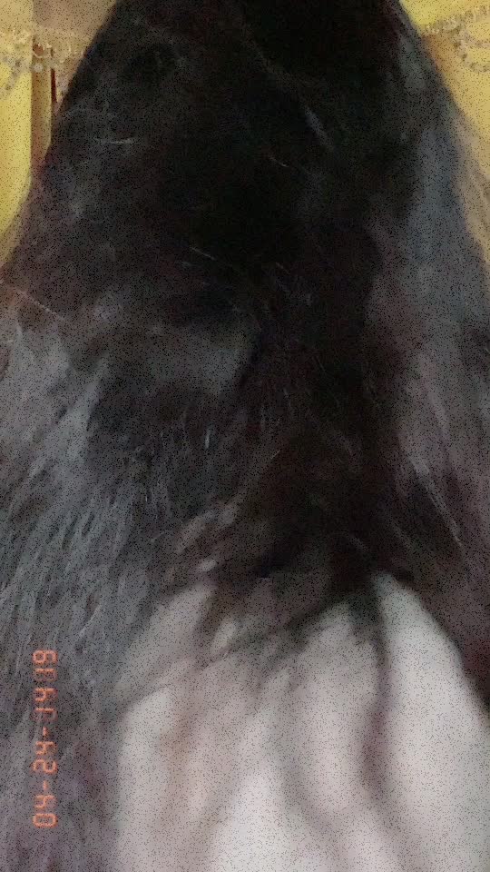 @prarthanadighi