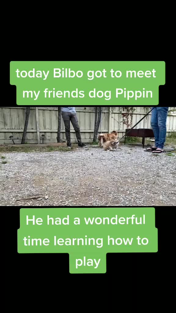 @Bilbo Waggins