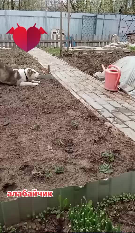 @Рамиль Сабитов