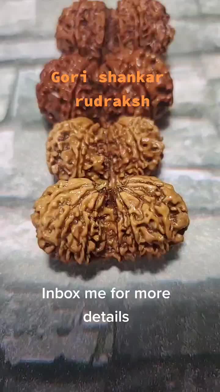 @nepal rudraksha