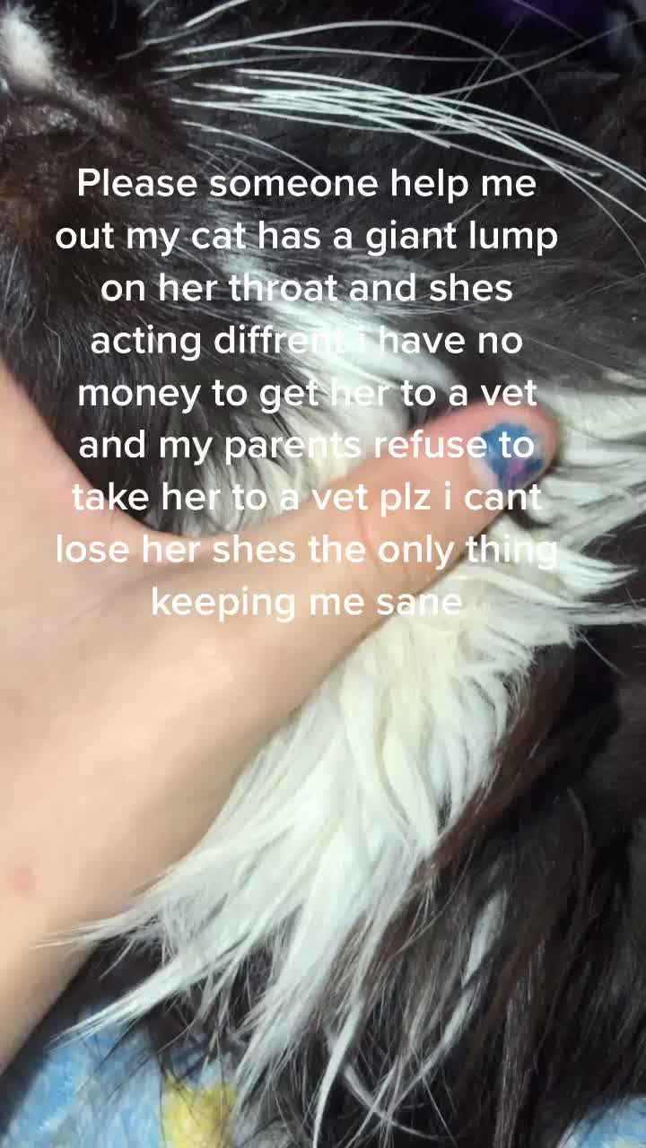 @:(