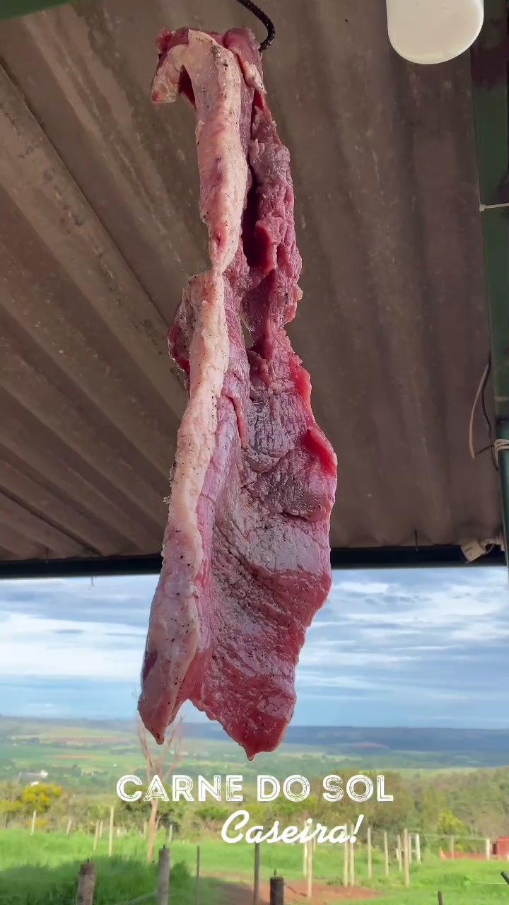 @Haras Z&eacute; Galego