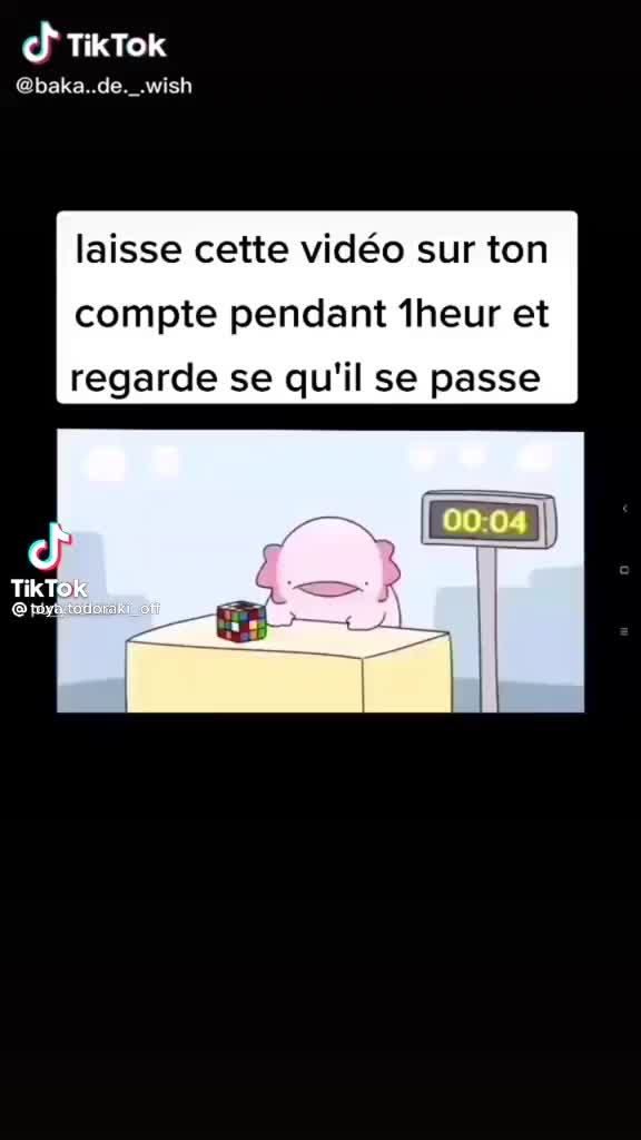 @Coucou